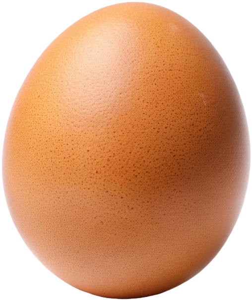 Egg